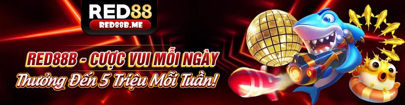 Giao diện đăng ký và đăng nhập 5fund an toàn